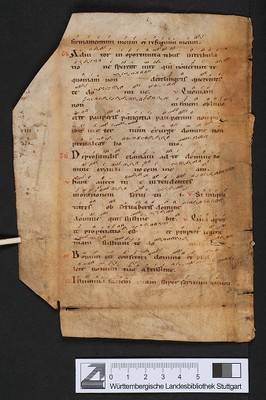 WLB_Cod_fragm_60_II_verso