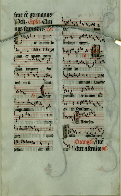 Eastman_Fleischer_84Av