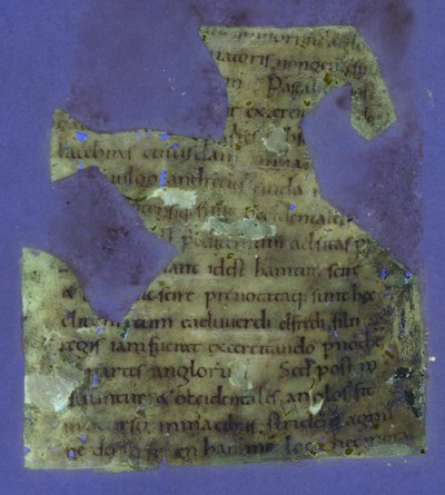 Otho_A_X_11v_UVCompositeR15G17B19