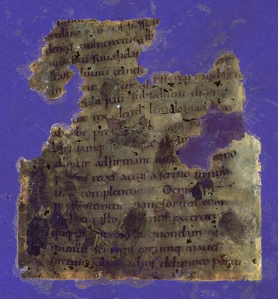 Otho_A_X_f11r_UVCompositeR15G17B19