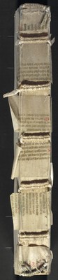 Top view showing the six spine linings