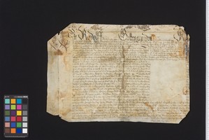 Stams_STA_Frg_202_01v