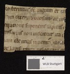 WLB_Cod_fragm_129_C_recto