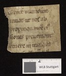 WLB_Cod_fragm_129_D_recto