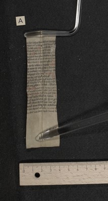 Fragm. 42 a, fol. [1]r