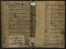 H_101_14_Bd_30_Iv_IIr