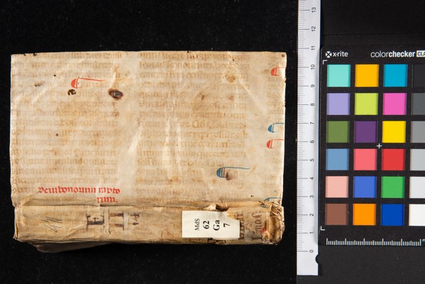 Dorso e piatto anteriore