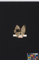 Stams_STA_Frg_154_01r