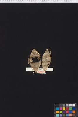 Stams_STA_Frg_154_01r