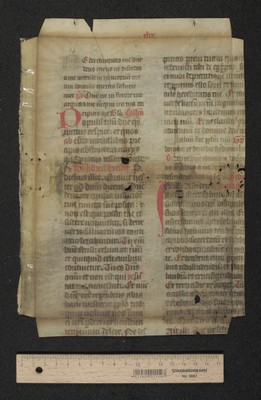 fol. 49r