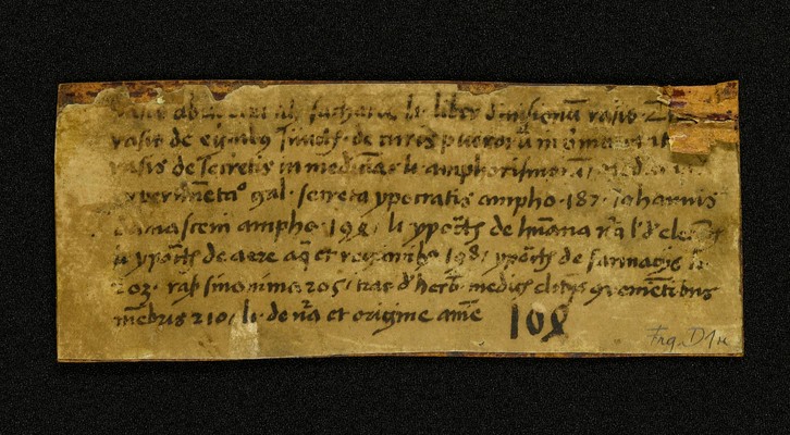 Innsbruck_ULBT_Frg_D01_r