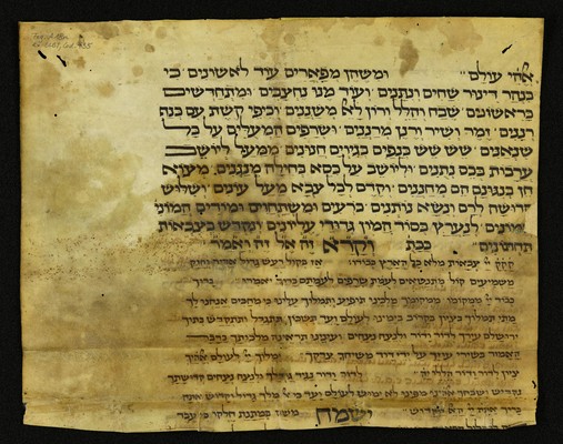 Innsbruck_ULBT_Frg_A18_r