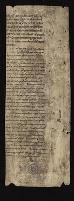 WLB_Cod_fragm_38_r_b