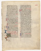 rbsc_ms_medieval_206_f204r