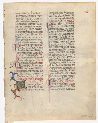 rbsc_ms_medieval_206_f204r
