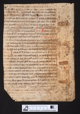 WLB_Cod_fragm_8_recto