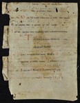MS_1600_NW_SF_5_r