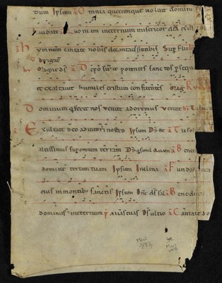 MS_1600_NW_SF_5_v