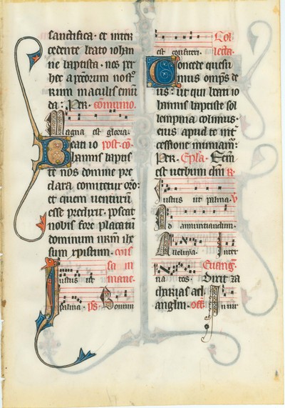 Hollins_Ms_5_Leaf_2r_cr