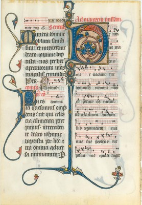 Hollins_Ms_5_Leaf_2v_cr