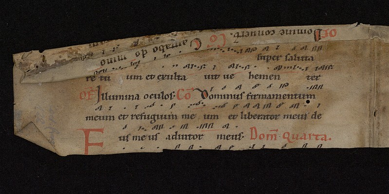 WLB_Cod_fragm_128_I_verso