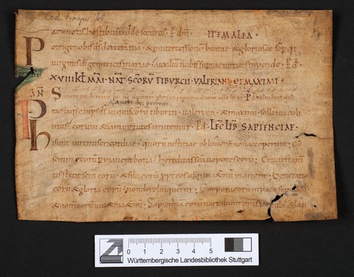 WLB_Cod_fragm_68_A_verso