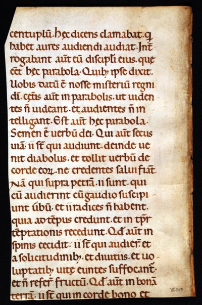 DunedinRMM_Fragment_42_Lectionary_verso