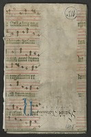 B_481_L_Bd_112_Iv_IIr_links