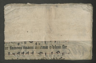 A_495_Bue_84_A_r_oben