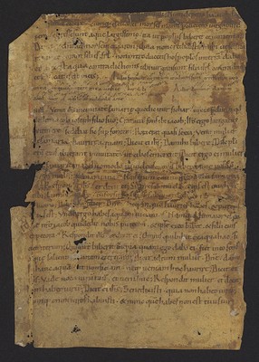 WLB_Cod_fragm_134_verso