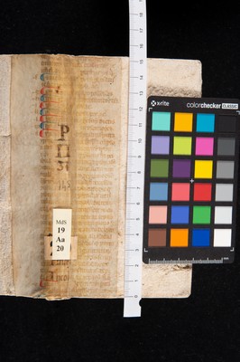 rinforzo esterno al dorso