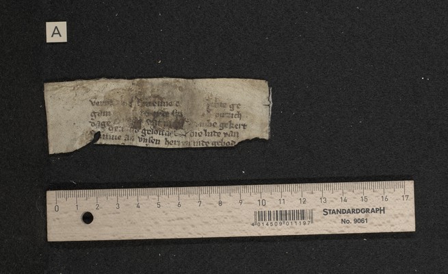 Fragm. 65 a, fol. [1]r