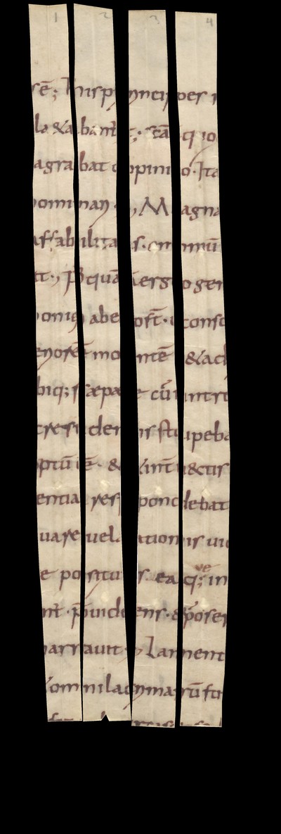 Fragm782d_3_recto_reconstructed