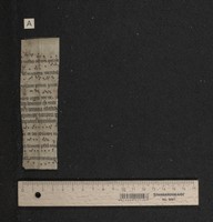 Fragm. 64 a, fol. [1]v