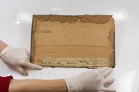 Additional image annotation