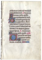 UVic_FragmBrownLat5_R