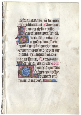 UVic_FragmBrownLat5_R