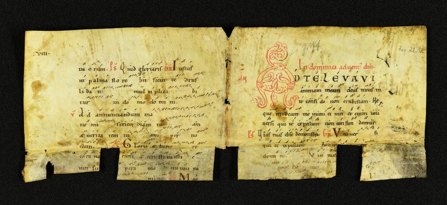 Innsbruck_ULBT_Frg_027_01_r