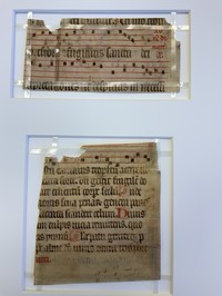 MS_1600_NW_SF_3_1