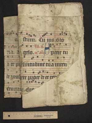 upper and lower cover outside