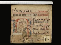 Top half of the leaf