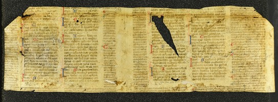 Innsbruck_ULBT_Frg_C24_03_r