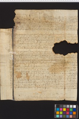 Stams_STA_Frg_191_01v