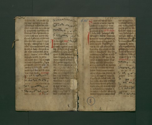 StAL_GL_105_Bd_5_IIv_Ir