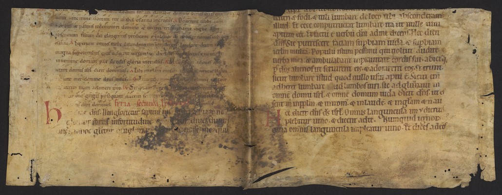 WLB_Cod_fragm_140_I_v_II_r