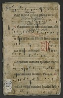 B_481_L_Bd_223_vorne