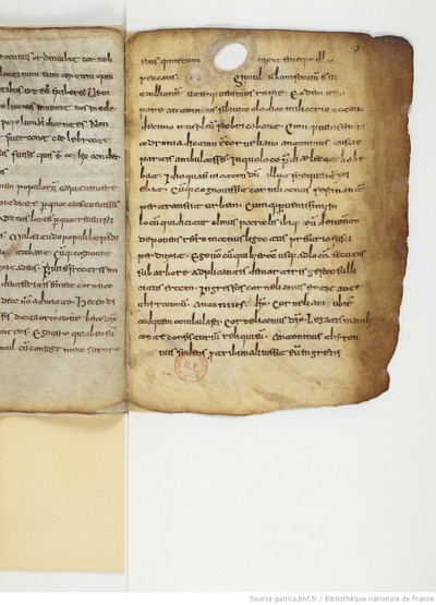 ParisBNFlat05288_015_f003r