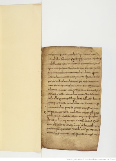 ParisBNFlat05288_023_f007r