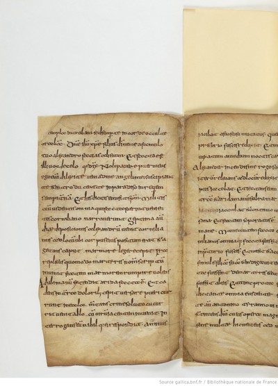 ParisBNFlat05288_024_f007v