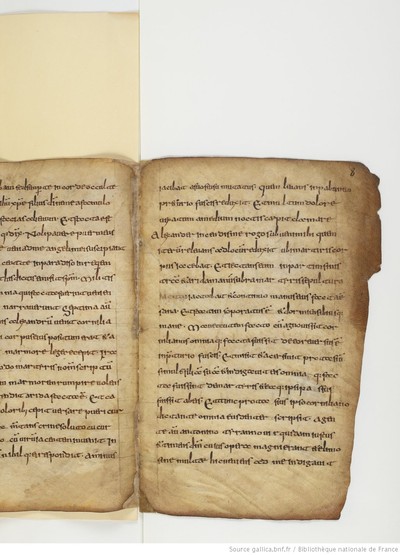 ParisBNFlat05288_025_f008r